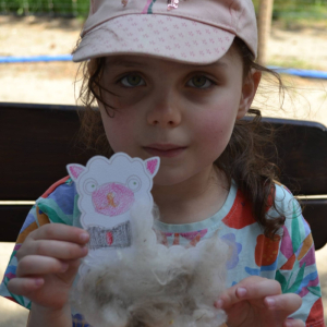 Muchomorki i Słoneczka odwiedziły Monalpi Alpaca Farm, gdzie spędziły aktywny dzień w otoczeniu przyrody i zwierząt. 