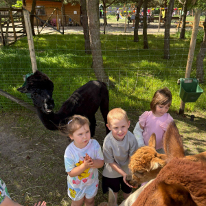 Muchomorki i Słoneczka odwiedziły Monalpi Alpaca Farm, gdzie spędziły aktywny dzień w otoczeniu przyrody i zwierząt. 
