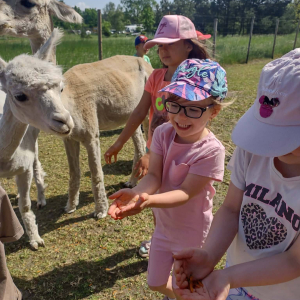 Muchomorki i Słoneczka odwiedziły Monalpi Alpaca Farm, gdzie spędziły aktywny dzień w otoczeniu przyrody i zwierząt. 