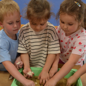 Morskie opowieści w grupie Muchomorki - realizacja innowacji pedagogicznej.