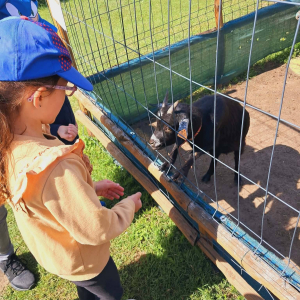 Jeżyki uczestniczyły w wycieczce do Alpakarni w Będzinie.