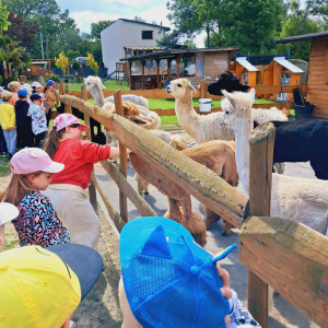 Jeżyki uczestniczyły w wycieczce do Alpakarni w Będzinie.
