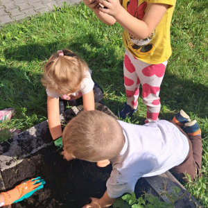 Prace ogrodowe dzieci z grupy Misie.